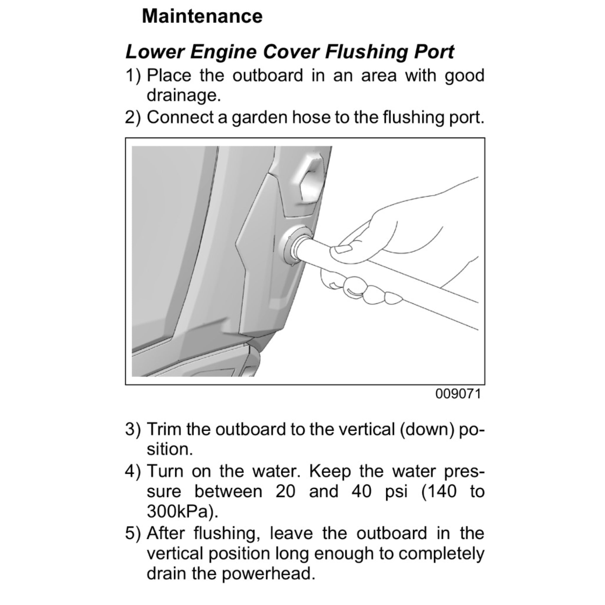 Johnson Evinrude flushing instructions